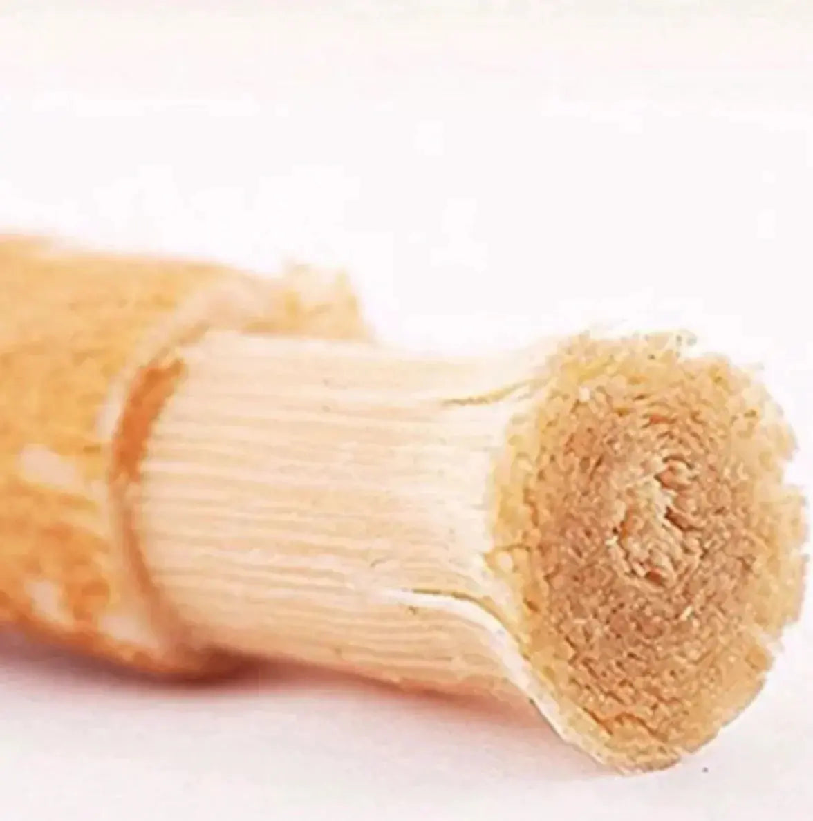 Miswak Tooth Cleaning Stick STYLE SOURCE