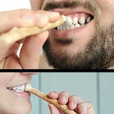 Miswak Tooth Cleaning Stick STYLE SOURCE