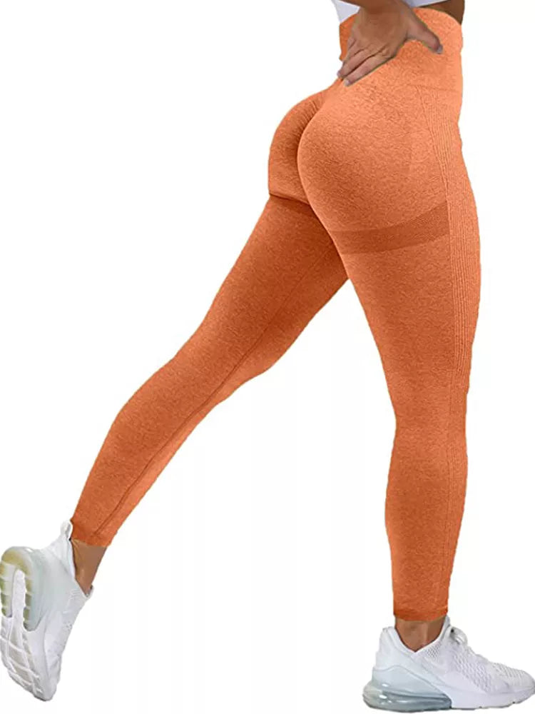 Women Seamless Workout Black Sports Leggings STYLE SOURCE