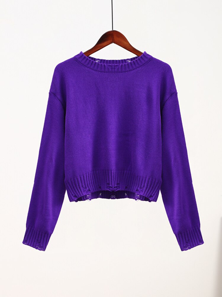 Tassel Knit Sweater For Women STYLE SOURCE